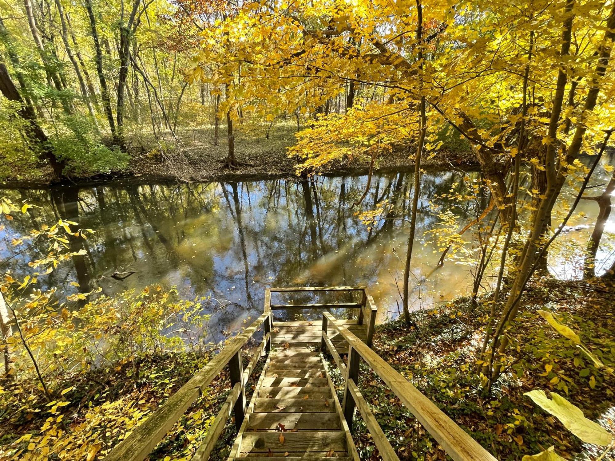 Goldberry Woods- A Modern Farm Resort Union Pier Екстериор снимка
